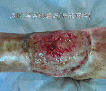 mg冰球突破豪华版(试玩)官方网站
