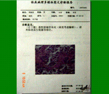 mg冰球突破豪华版(试玩)官方网站