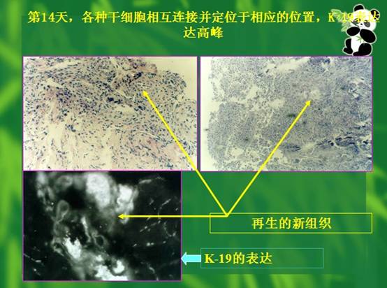 mg冰球突破豪华版(试玩)官方网站