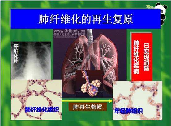 mg冰球突破豪华版(试玩)官方网站