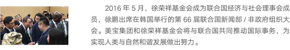 mg冰球突破豪华版(试玩)官方网站