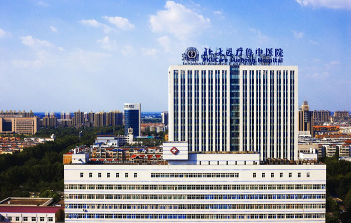mg冰球突破豪华版(试玩)官方网站