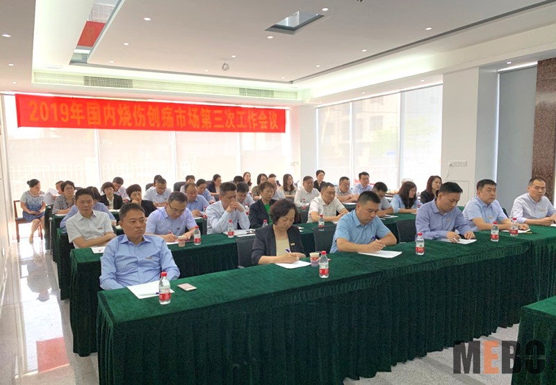 mg冰球突破豪华版(试玩)官方网站