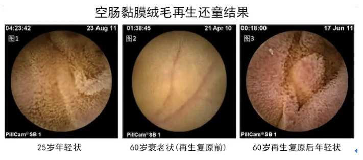 mg冰球突破豪华版(试玩)官方网站