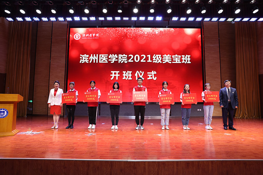 mg冰球突破豪华版(试玩)官方网站