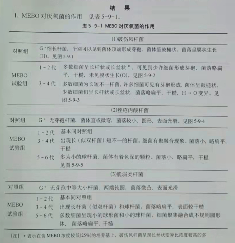 mg冰球突破豪华版(试玩)官方网站