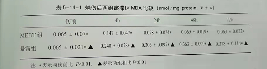 mg冰球突破豪华版(试玩)官方网站