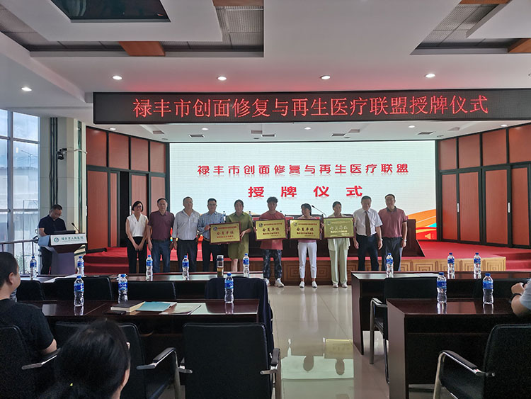 mg冰球突破豪华版(试玩)官方网站