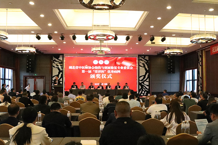 mg冰球突破豪华版(试玩)官方网站