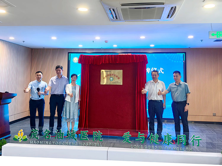 mg冰球突破豪华版(试玩)官方网站
