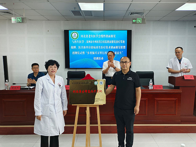mg冰球突破豪华版(试玩)官方网站