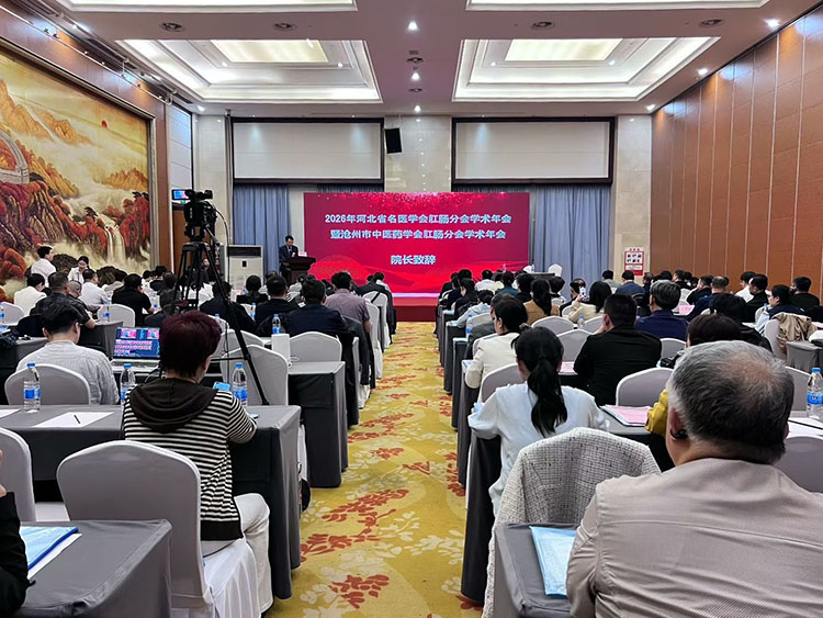 mg冰球突破豪华版(试玩)官方网站