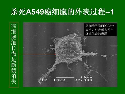 mg冰球突破豪华版(试玩)官方网站