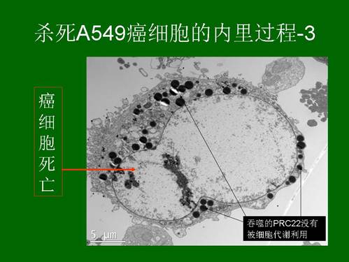 mg冰球突破豪华版(试玩)官方网站