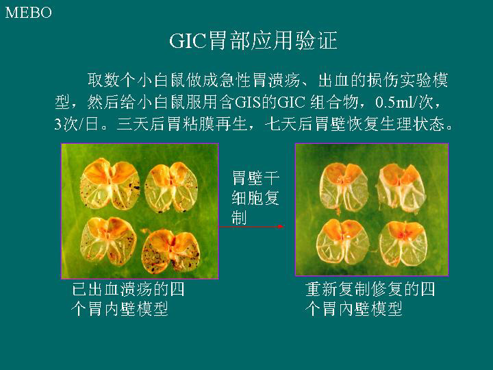 mg冰球突破豪华版(试玩)官方网站