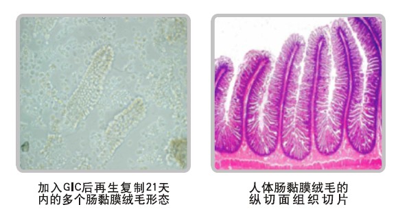 mg冰球突破豪华版(试玩)官方网站