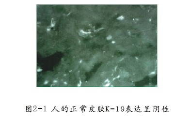 mg冰球突破豪华版(试玩)官方网站