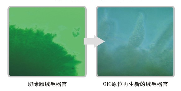 mg冰球突破豪华版(试玩)官方网站