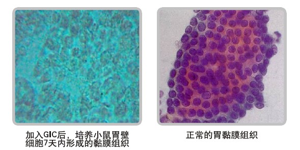 mg冰球突破豪华版(试玩)官方网站