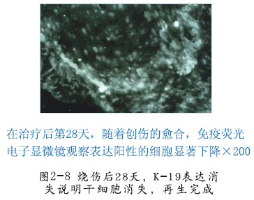 mg冰球突破豪华版(试玩)官方网站