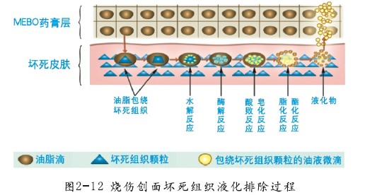 mg冰球突破豪华版(试玩)官方网站
