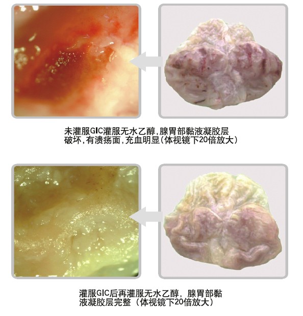 mg冰球突破豪华版(试玩)官方网站