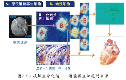 mg冰球突破豪华版(试玩)官方网站