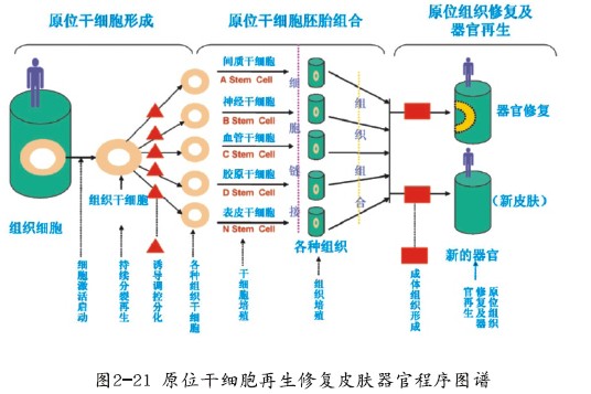 mg冰球突破豪华版(试玩)官方网站