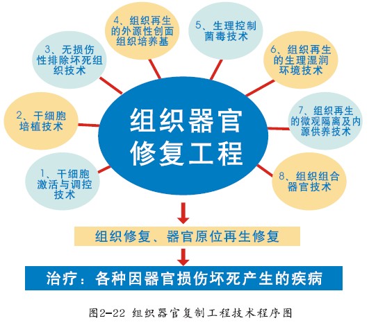 mg冰球突破豪华版(试玩)官方网站
