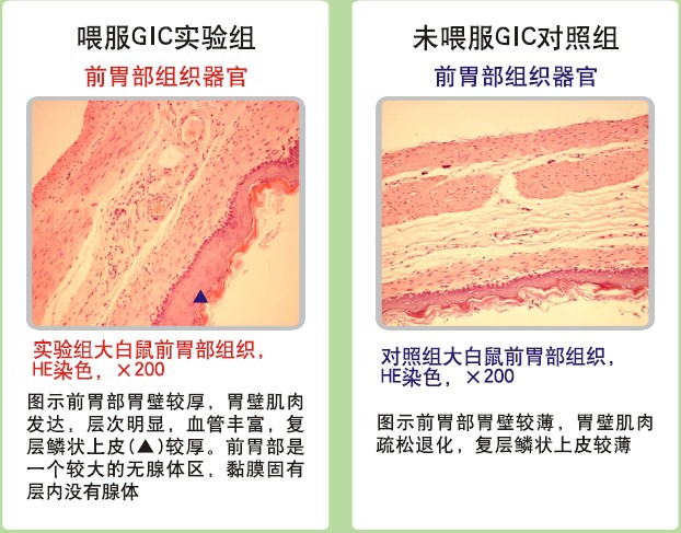 mg冰球突破豪华版(试玩)官方网站