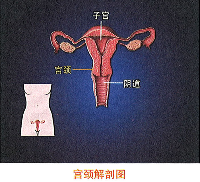 mg冰球突破豪华版(试玩)官方网站