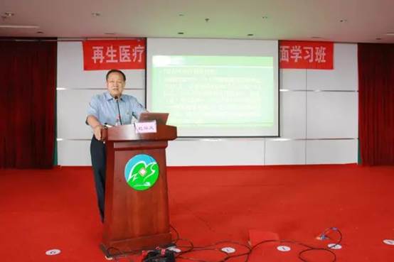 mg冰球突破豪华版(试玩)官方网站