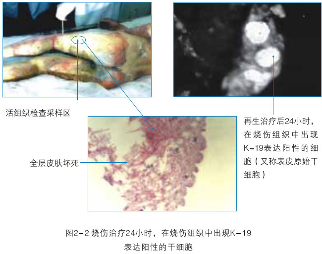2011220104527132