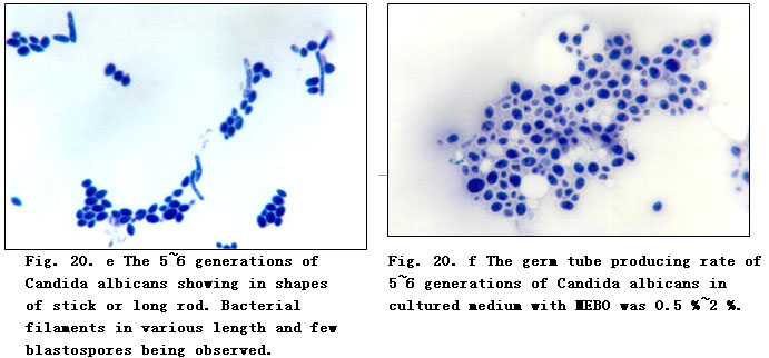 2011223153817225