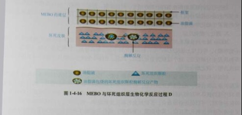201131134839530