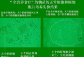 mg冰球突破豪华版(试玩)官方网站
