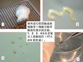 mg冰球突破豪华版(试玩)官方网站